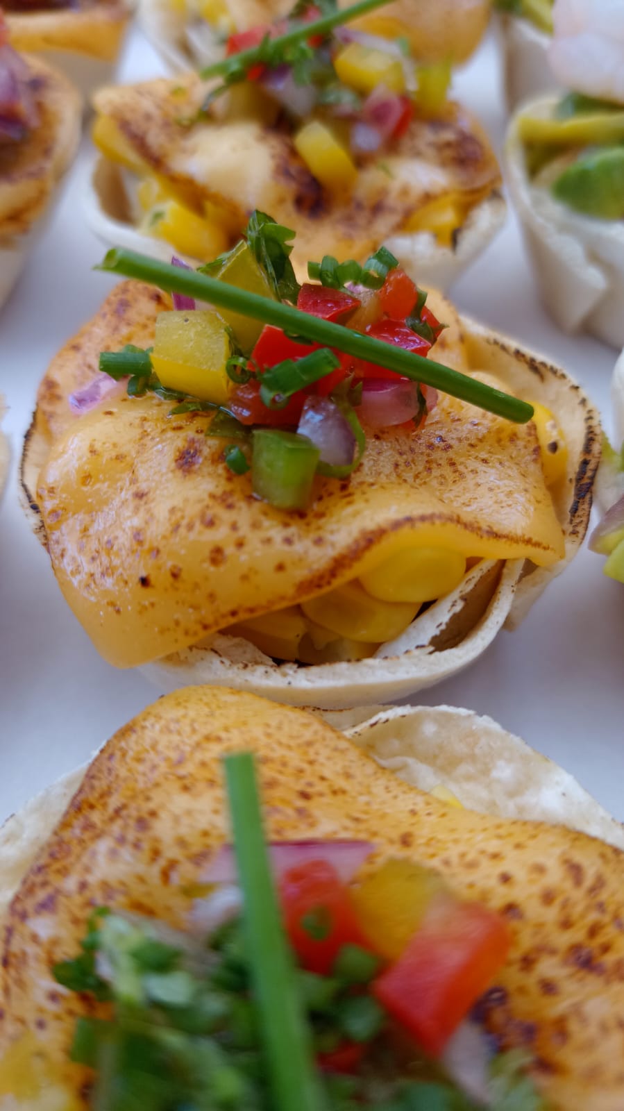 WhatsApp Image 2023-07-17 at 9.58.53 PM